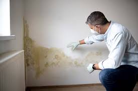 Best Mold-Related Health Consultation  in Standish, MI